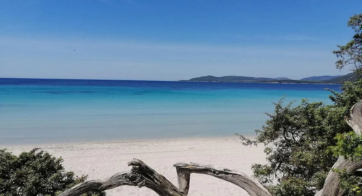 Alghero C1 C2 C3 Apartment